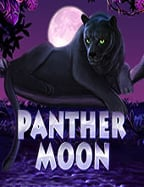 สล็อต pg มา แรง ที่ต้องลองเล่นเดโมก่อนลงทุน